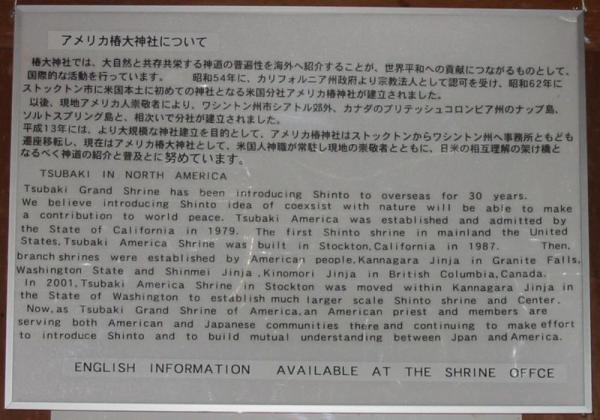 アメリカ支社アリ