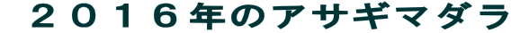  QOPUÑATM}_ 