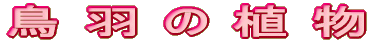 H̐A