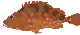 kasago