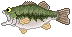 brackbuss-ani03