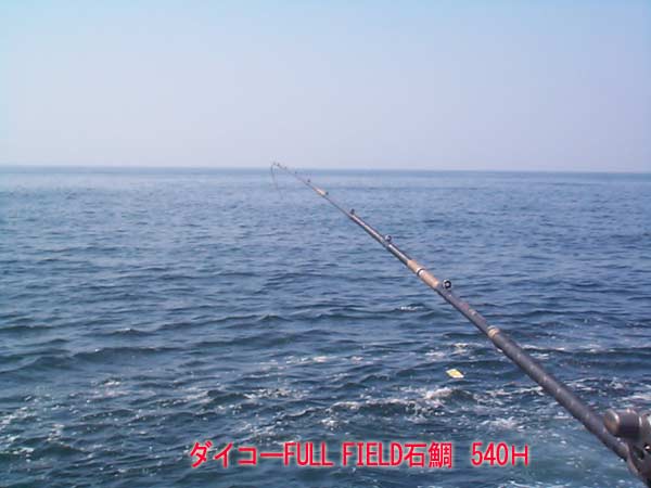 ダイコー FULLFIELD 乾く 石鯛 540H関係