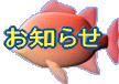 xDEm点Ȃ